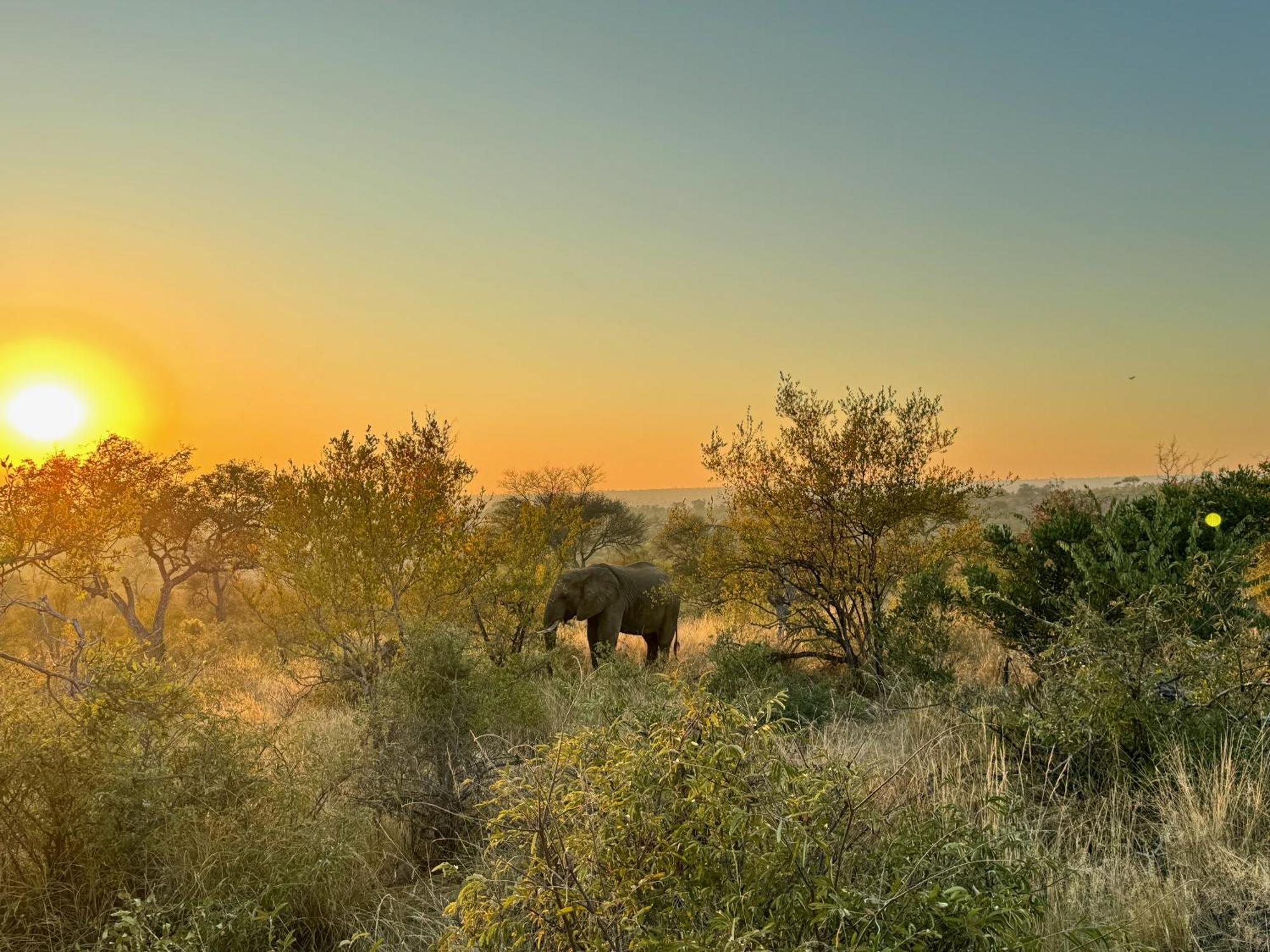 Ku Sungula Safari Lodge Réserve de Balule Extérieur photo