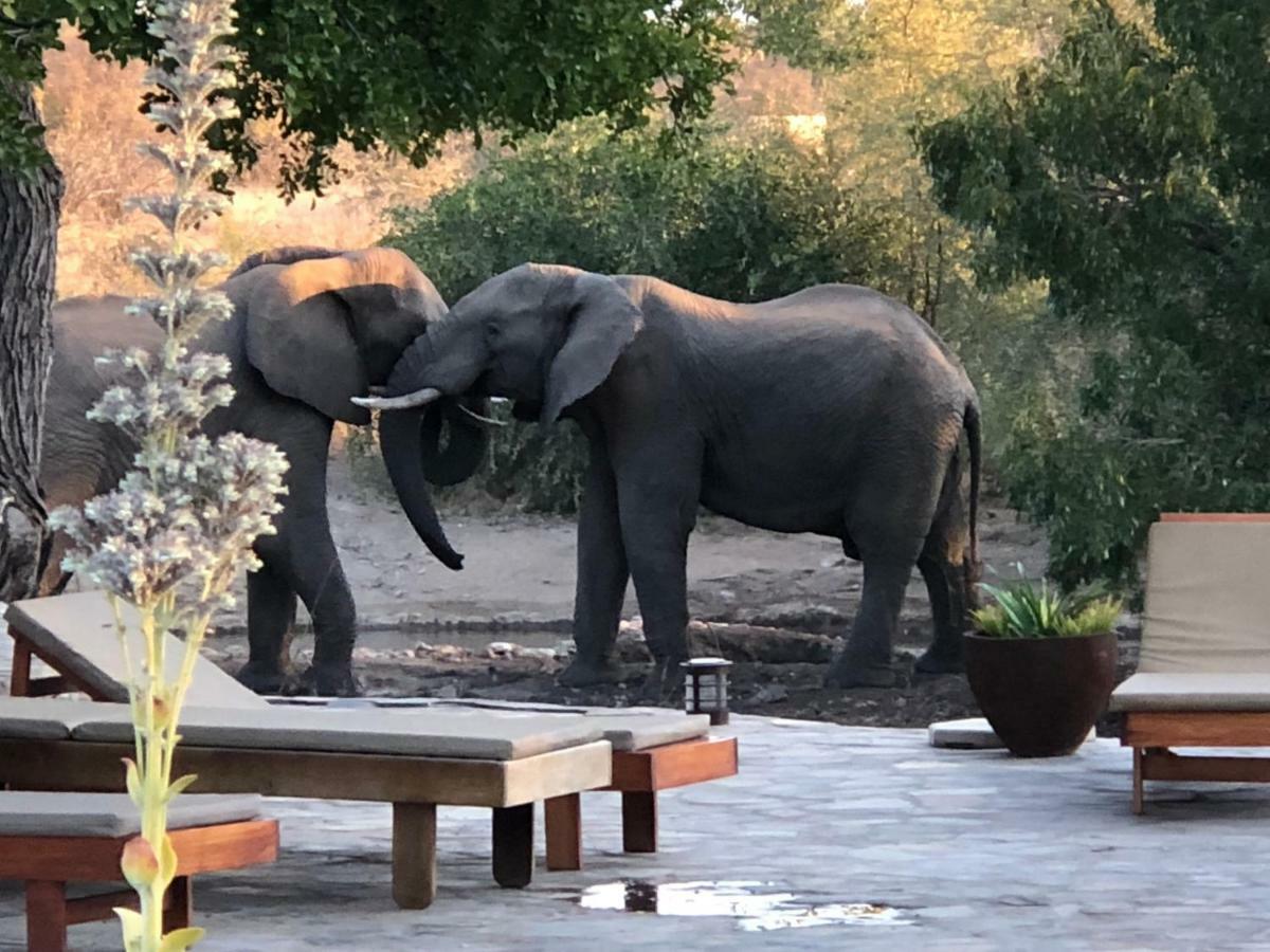 Ku Sungula Safari Lodge Réserve de Balule Extérieur photo